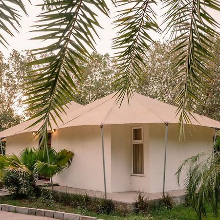 Clarks Safari Ranthambore Khilchipur  Exterior photo