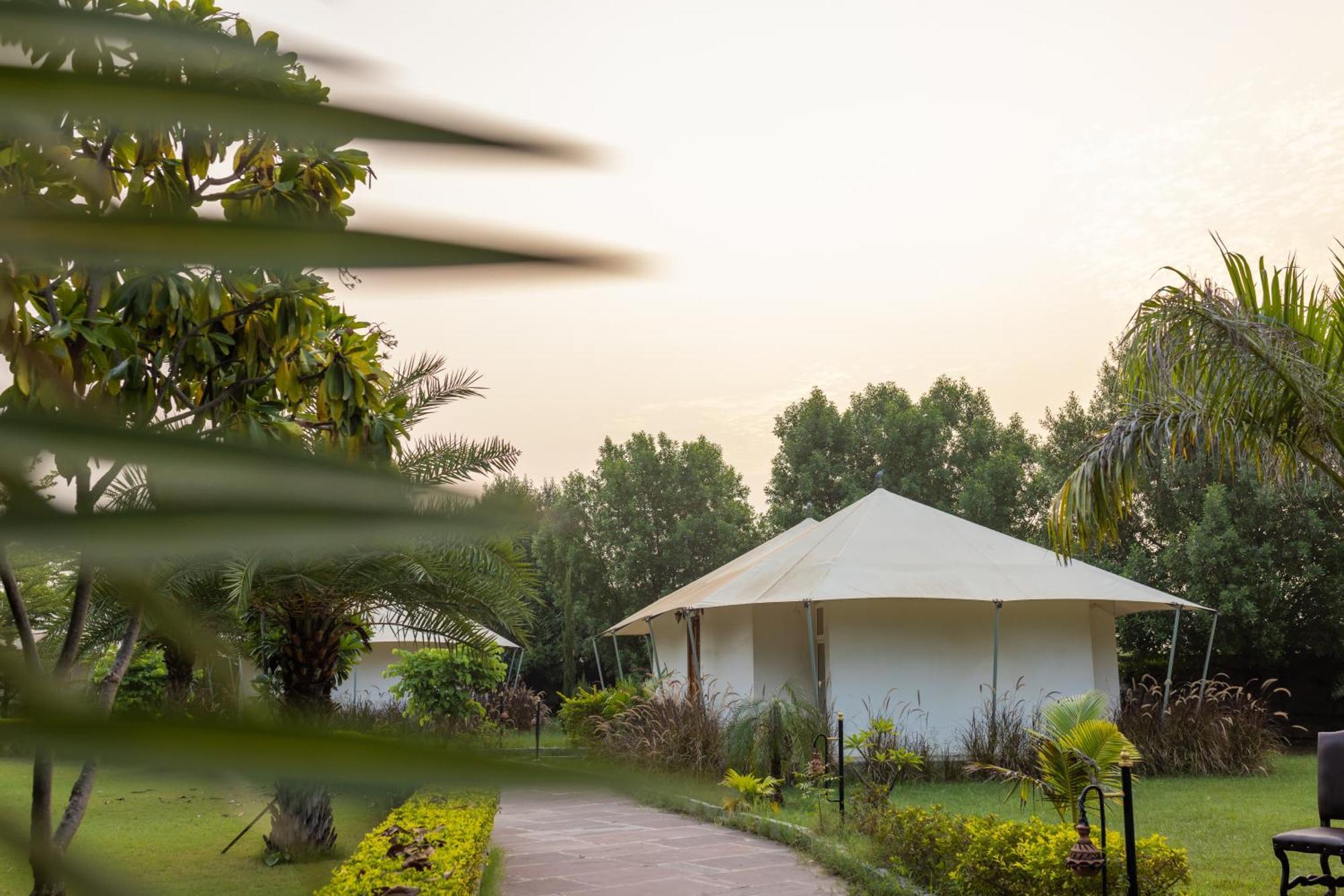 Clarks Safari Ranthambore Khilchipur  Exterior photo