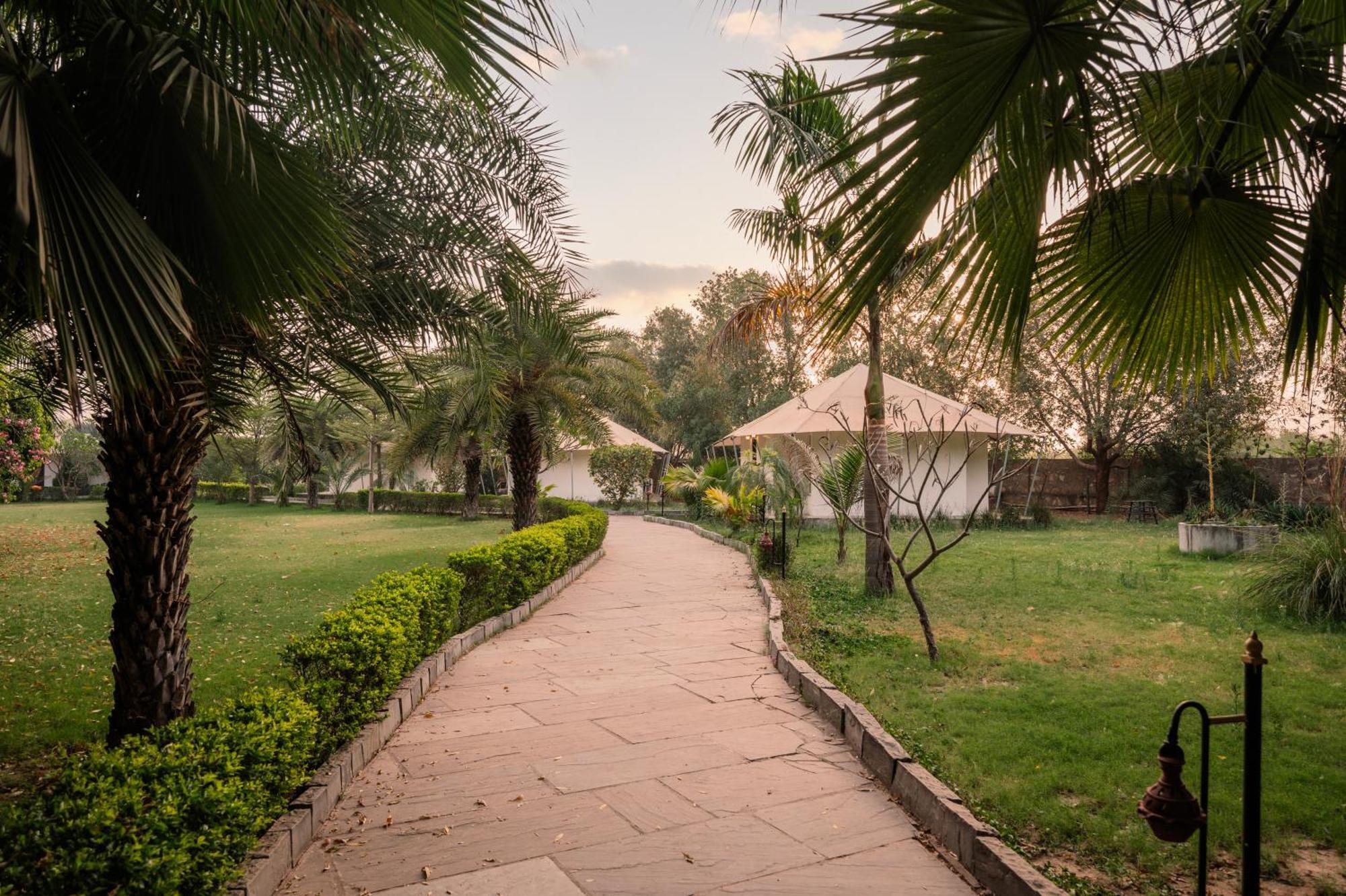 Clarks Safari Ranthambore Khilchipur  Exterior photo